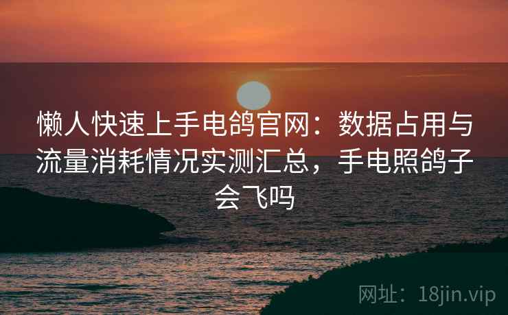 懒人快速上手电鸽官网：数据占用与流量消耗情况实测汇总，手电照鸽子会飞吗