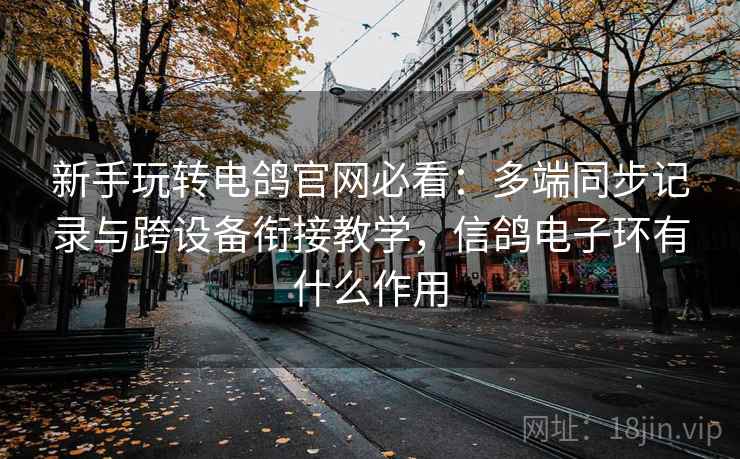 新手玩转电鸽官网必看:多端同步记录与跨设备衔接教学,信鸽电子环有什么作用 新手玩转电鸽官网必看:多端同步记录与跨设备衔接教学,信鸽电子环有什么作用