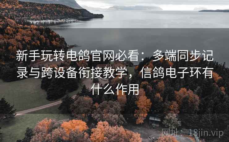 新手玩转电鸽官网必看:多端同步记录与跨设备衔接教学,信鸽电子环有什么作用 新手玩转电鸽官网必看:多端同步记录与跨设备衔接教学,信鸽电子环有什么作用