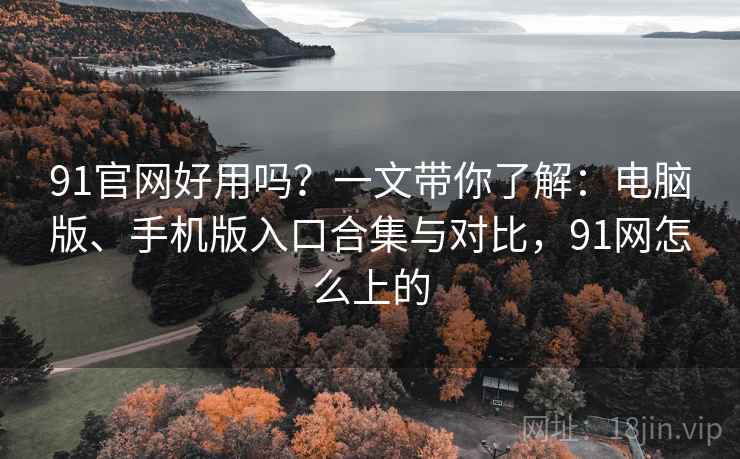 91官网好用吗？一文带你了解：电脑版、手机版入口合集与对比，91网怎么上的