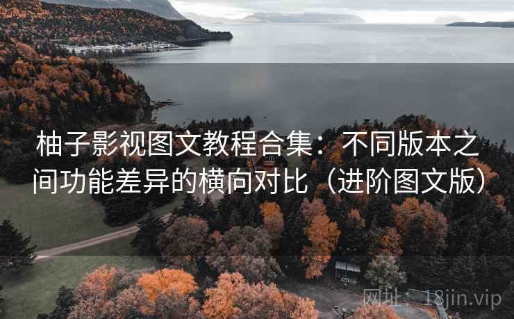 柚子影视图文教程合集:不同版本之间功能差异的横向对比(进阶图文版) 柚子影视图文教程合集:不同版本之间功能差异的横向对比(进阶图文版)