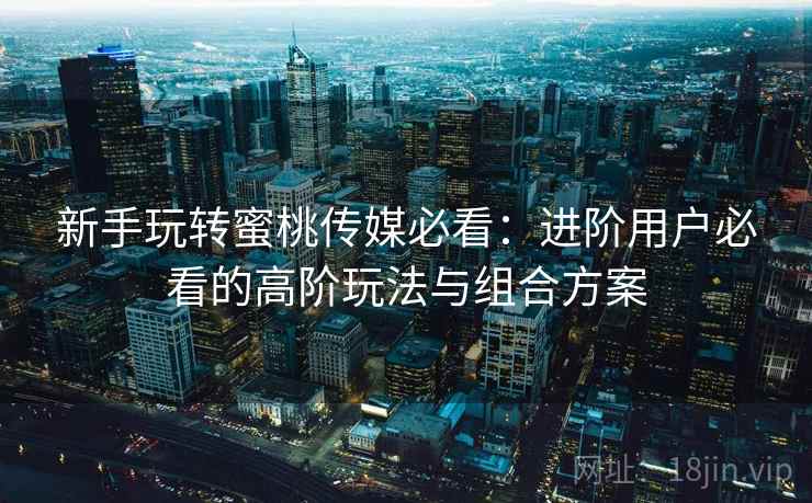 新手玩转蜜桃传媒必看：进阶用户必看的高阶玩法与组合方案