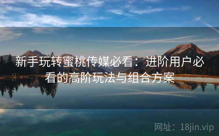 新手玩转蜜桃传媒必看：进阶用户必看的高阶玩法与组合方案
