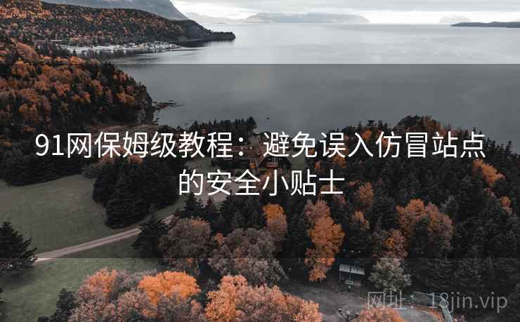 91网保姆级教程:避免误入仿冒站点的安全小贴士 91网保姆级教程:避免误入仿冒站点的安全小贴士